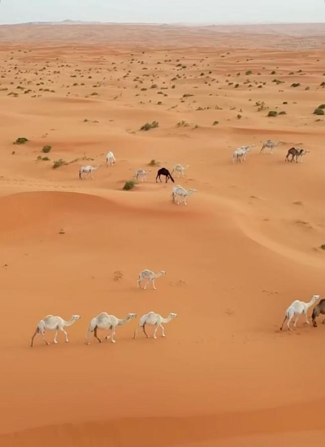 Desert Diamond Private New Camp Bidiya Luaran gambar